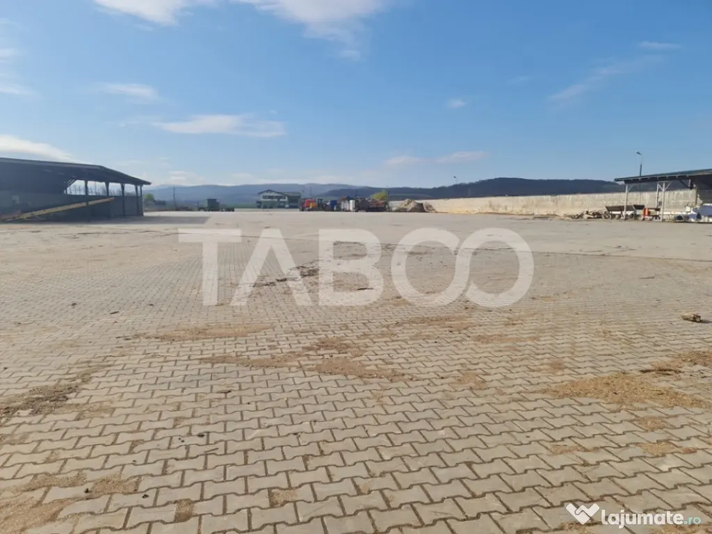 Spatiu industrial de inchiriat in Sebes judetul Alba - Sebes (Alba)