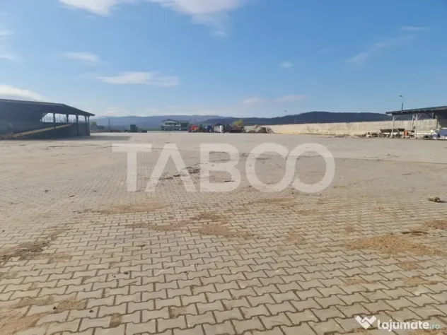 Spatiu industrial de inchiriat in Sebes judetul Alba - Sebes (Alba)