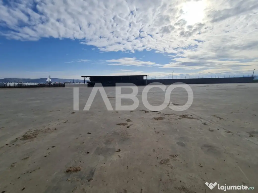 Spatiu industrial de inchiriat in Sebes judetul Alba - Sebes (Alba)