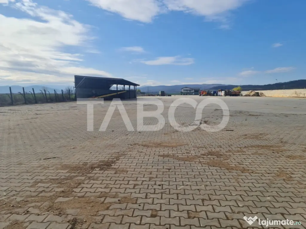 Spatiu industrial de inchiriat in Sebes judetul Alba - Sebes (Alba)