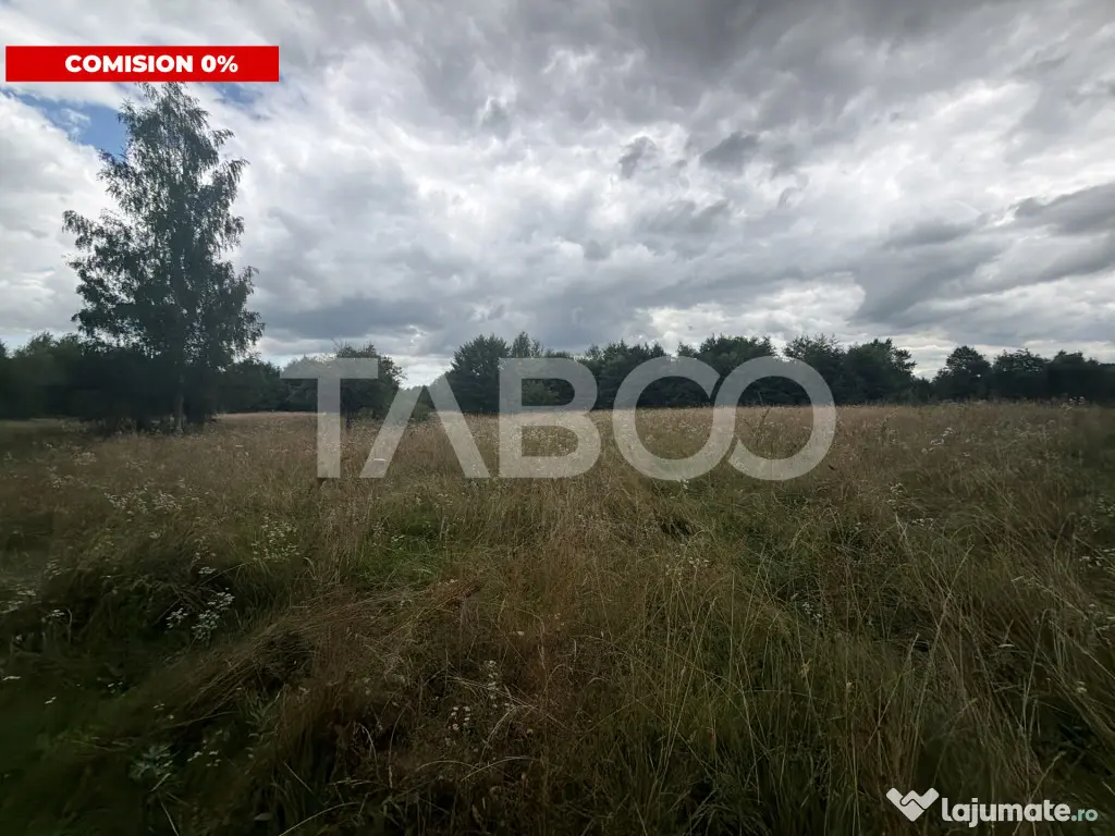 Teren extravilan cu utilitat 6000 mp langa Rau pe Valea Deja - Dejani (Brasov)