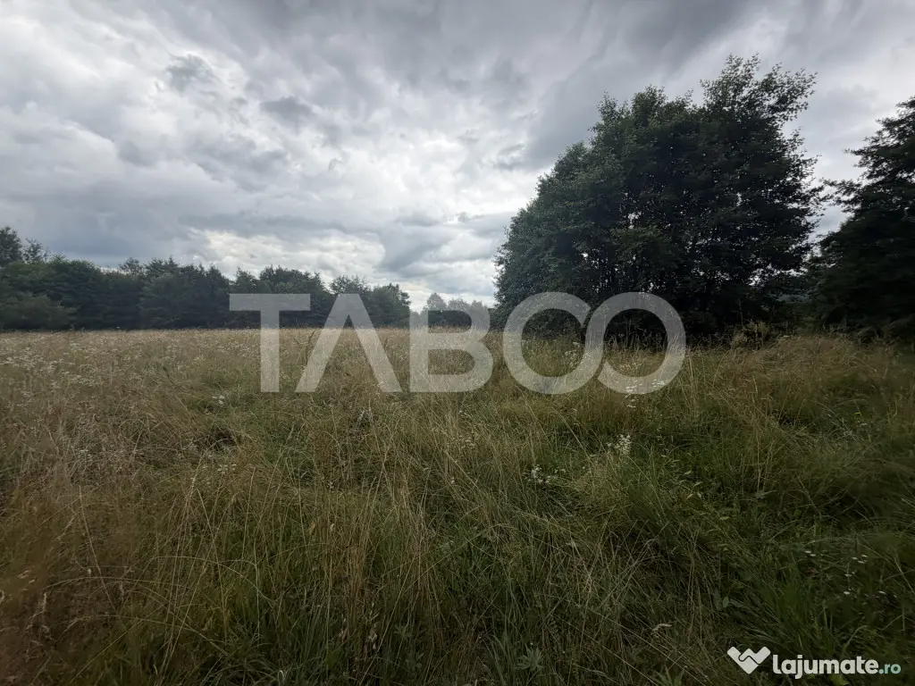 Teren extravilan cu utilitat 6000 mp langa Rau pe Valea Deja - Dejani (Brasov)