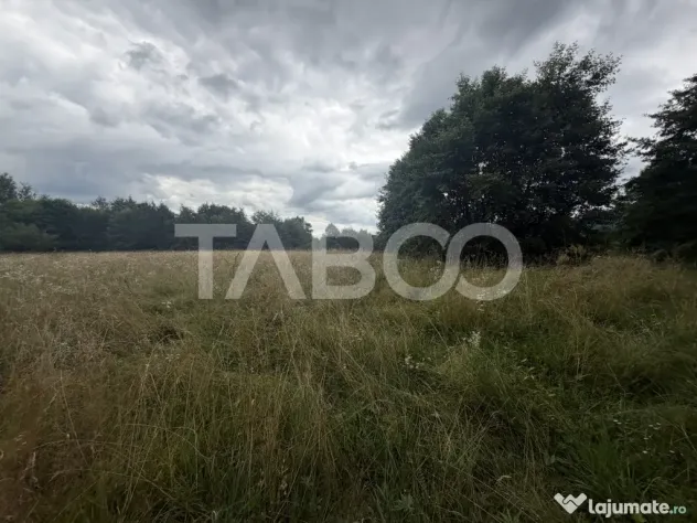 Teren extravilan cu utilitat 6000 mp langa Rau pe Valea Deja - Dejani (Brasov)