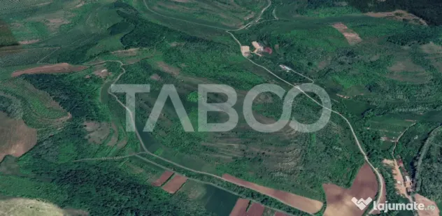 Oportunitate investitie Teren de vanzare 10000 mp zona Guste - Sibiu (Sibiu)