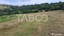 Teren de vanzare langa padure 15600 mp in Hamba Sibiu