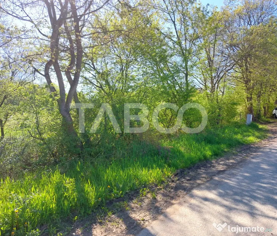 Teren 3445 mp intravilan front 26 m utilitati in zona in Cis - Cisnadie (Sibiu)