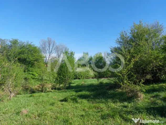 Teren 3445 mp intravilan front 26 m utilitati in zona in Cis - Cisnadie (Sibiu)