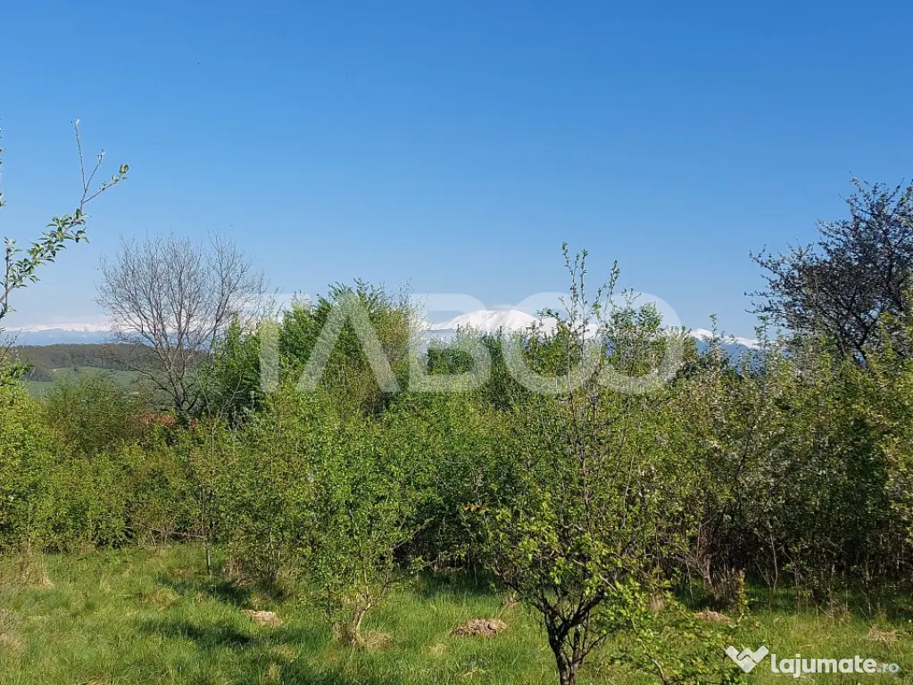 Teren 3445 mp intravilan front 26 m utilitati in zona in Cis - Cisnadie (Sibiu)