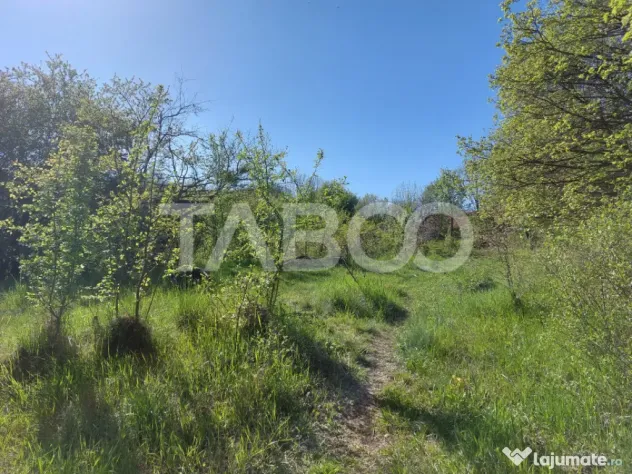 Teren 3445 mp intravilan front 26 m utilitati in zona in Cis - Cisnadie (Sibiu)