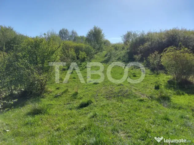 Teren 3445 mp intravilan front 26 m utilitati in zona in Cis - Cisnadie (Sibiu)
