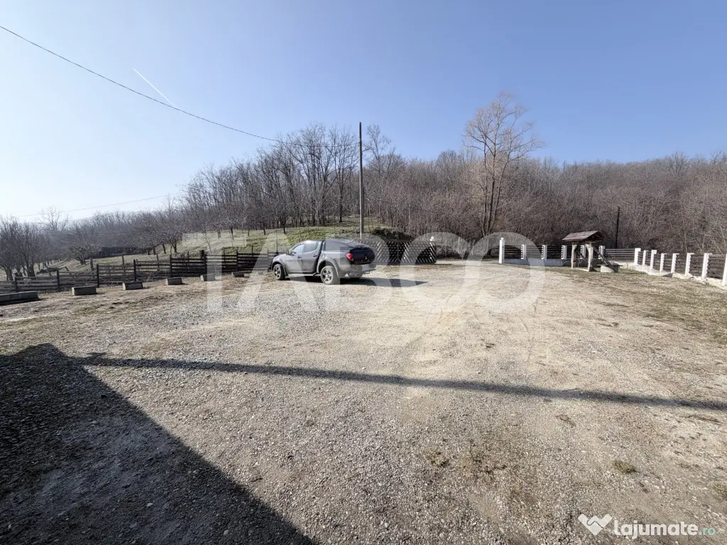Casa de vacanta cu priveliste deosebita - Calimanesti (Valcea)