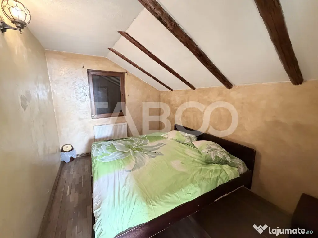 Casa de vacanta cu priveliste deosebita - Calimanesti (Valcea)