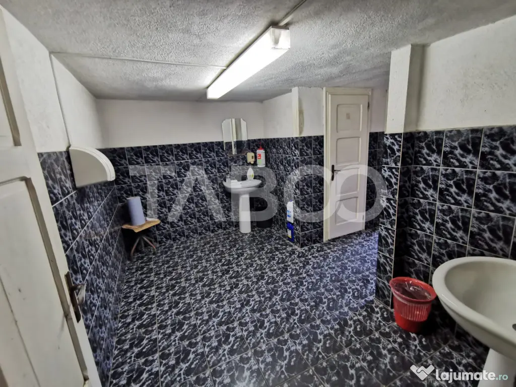 Hala de vanzare 1520 mp utili in zona Turnisor din Sibiu - Sibiu (Sibiu)