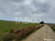 Teren intravilan 2 fronturi de 35 m fiecare 8.000 mp Turniso