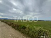 Teren intravilan 2 fronturi de 35 m fiecare 8.000 mp Turniso