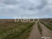 Teren intravilan 2 fronturi de 35 m fiecare 8.000 mp Turniso
