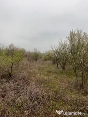 Vând Teren comuna Pischia sat Bececu de jos 