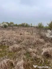 Vând Teren comuna Pischia sat Bececu de jos 