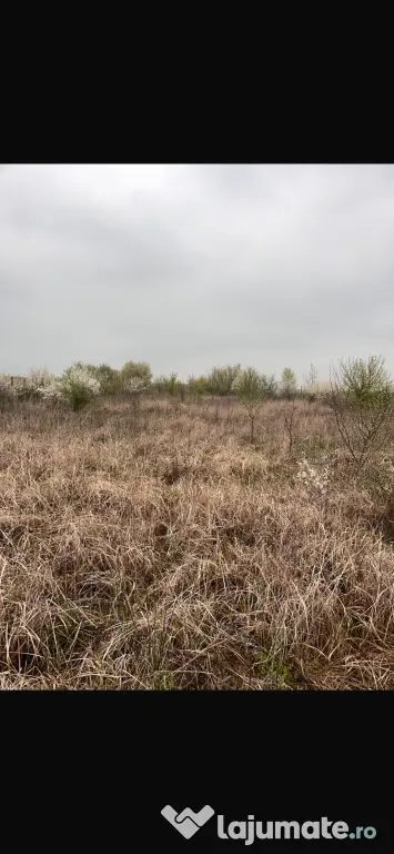 Vând Teren comuna Pischia sat Bececu de jos