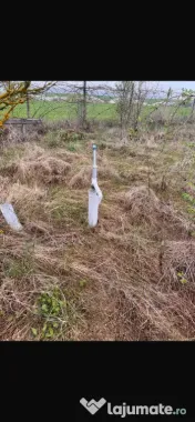 Vând Teren comuna Pischia sat Bececu de jos 