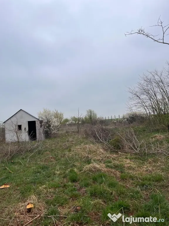 Vând Teren comuna Pischia sat Bececu de jos