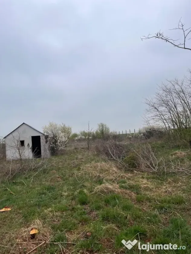 Vând Teren comuna Pischia sat Bececu de jos