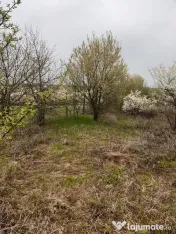 Vând Teren comuna Pischia sat Bececu de jos 