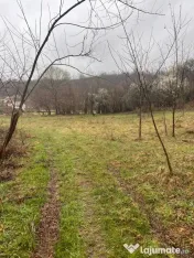 Vand teren în Sintesti, zonă liniștită pretabil pentru cabana