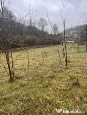 Vand teren în Sintesti, zonă liniștită pretabil pentru cabana