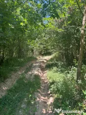 Vand teren în Sintesti, zonă liniștită pretabil pentru cabana