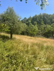 Vand teren în Sintesti, zonă liniștită pretabil pentru cabana