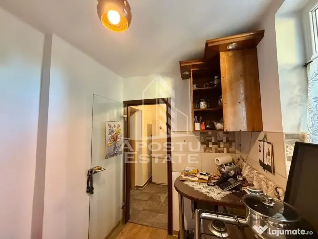 Apartament cu 2 camere de vanzare, etaj 1, Brancoveanu, Timisoara - Timisoara (Timis)
