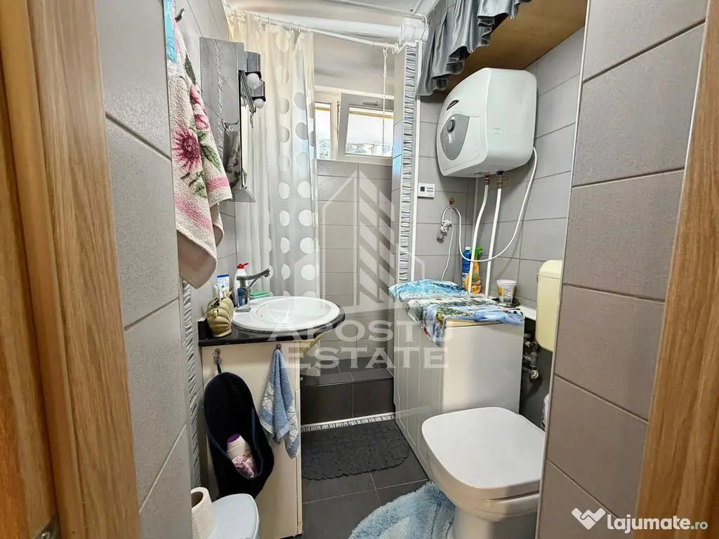 Apartament cu 2 camere de vanzare, etaj 1, Brancoveanu, Timisoara - Timisoara (Timis)