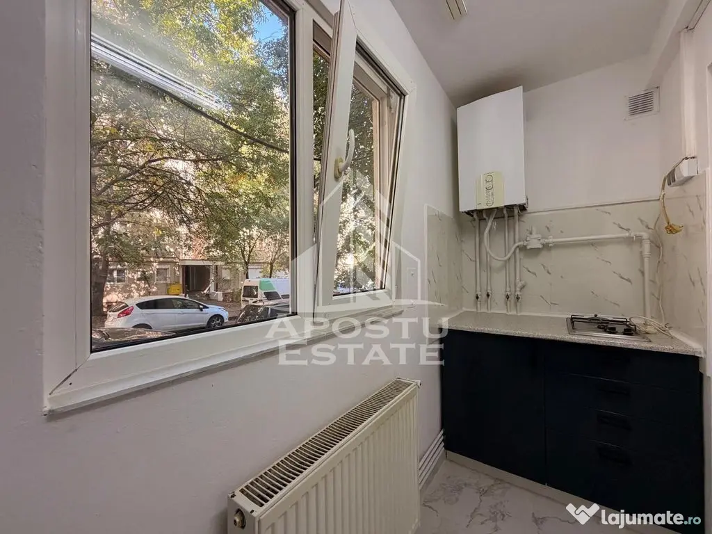 Apartament cu 1 camera de vanzare, zona Lipovei, Timisoara - Timisoara (Timis)