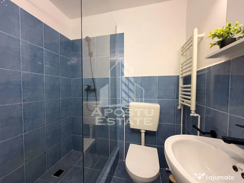 Apartament cu 1 camera de vanzare, zona Lipovei, Timisoara - Timisoara (Timis)