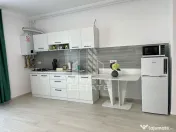 Apartament cu 1 camera mobilat si utilat in Giroc la asfalt. 
