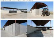Proprietate imobiliara industrial-agricola – Com. Becicherecu Mic, jud. Timis