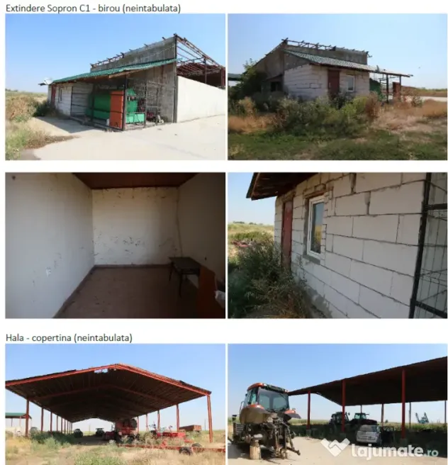Proprietate imobiliara industrial-agricola – Com. Becicherecu Mic, jud. Timis