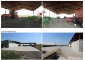 Proprietate imobiliara industrial-agricola – Com. Becicherecu Mic, jud. Timis