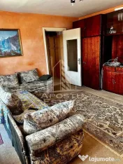 Apartament 2 camere de vânzare, zona Lipovei, Timisoara 