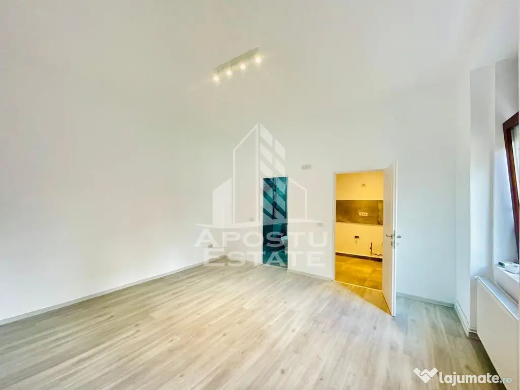 Apartament 1 camera,- zona Piata Catedralei Parcul Recolncilierii - Arad (Arad)