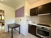 Apartament 4 camere si garaj de vanzare, etaj 1, Medicina Timisoara 