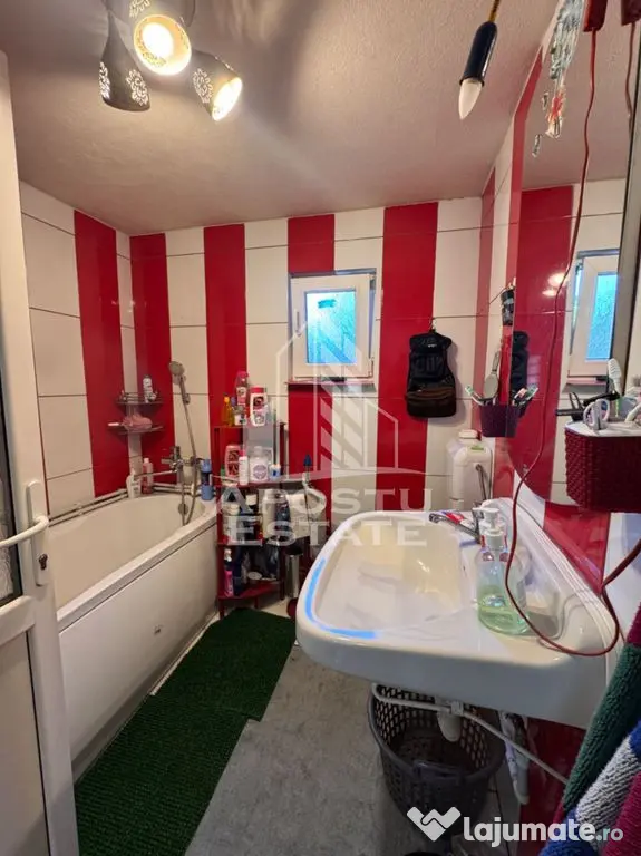Casa cu 2 camere, zona muntoasa, casa din 2023 sat Criscior, Hunedoara - Criscior (Hunedoara)