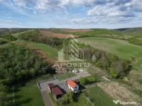 Casa de vacanta cu. teren 31.300 Nadas, 38 km de Timisoara.