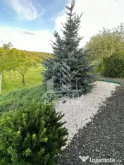 Casa de vacanta cu. teren 31.300 Nadas, 38 km de Timisoara. 
