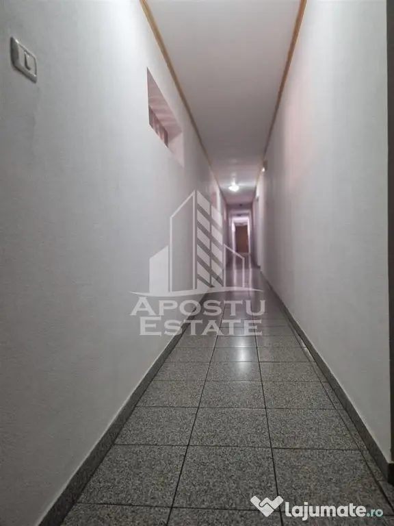 Pensiune 22 de camere si afacere la cheie cu 0% comision Zona Micalaca - Arad (Arad)