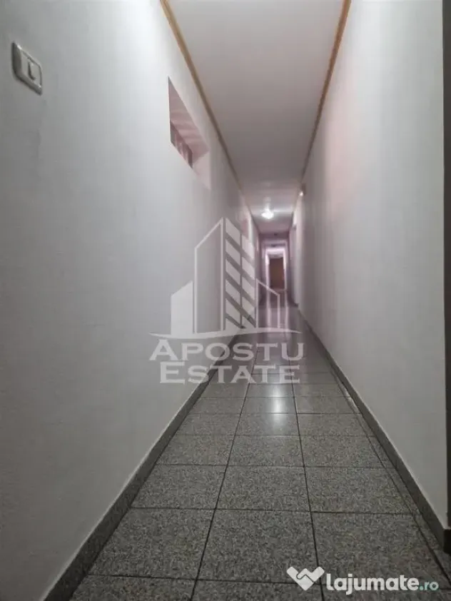 Pensiune 22 de camere si afacere la cheie cu 0% comision Zona Micalaca - Arad (Arad)