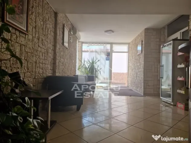 Pensiune 22 de camere si afacere la cheie cu 0% comision Zona Micalaca - Arad (Arad)