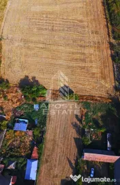 Teren intravilan de vanzare la Foeni, 13200 mp, front 24 m, Timis 
