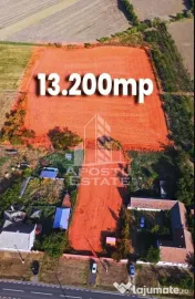 Teren intravilan de vanzare la Foeni, 13200 mp, front 24 m, Timis 